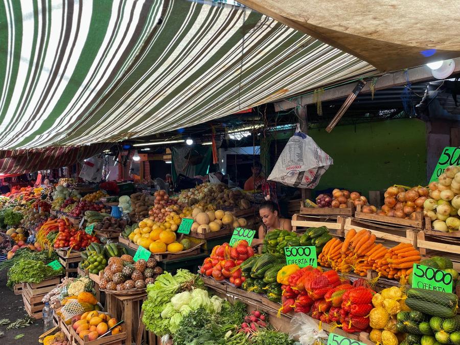 Photo 6 of Paraguay, taken by Cameron Mofid