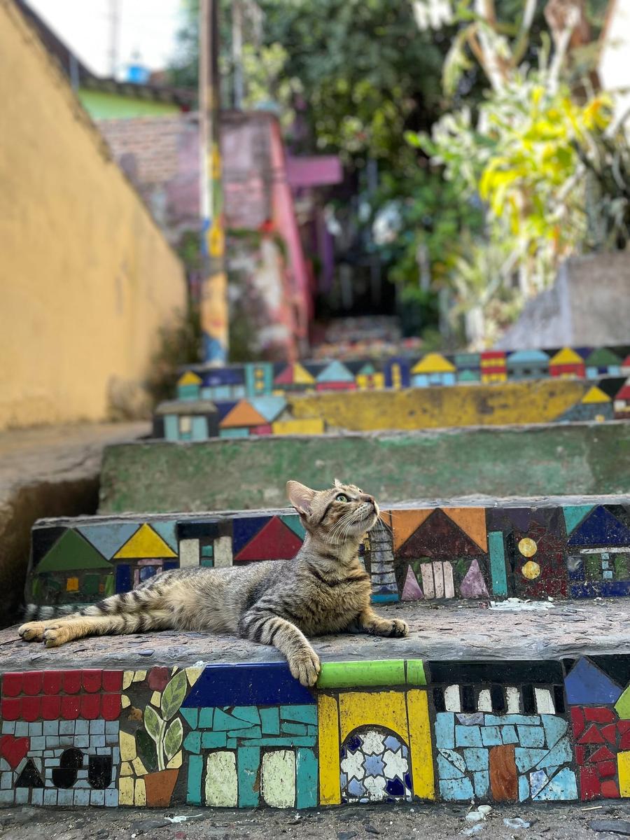 Photo 2 of Paraguay, taken by Cameron Mofid