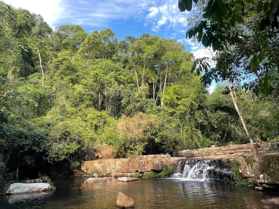 Photo 18 of Paraguay, taken by Cameron Mofid