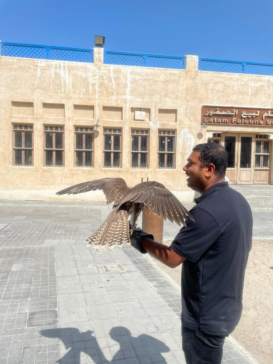 Photo 5 of Qatar, taken by Cameron Mofid