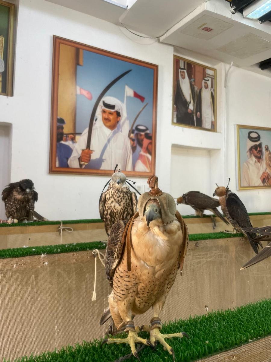 Photo 4 of Qatar, taken by Cameron Mofid