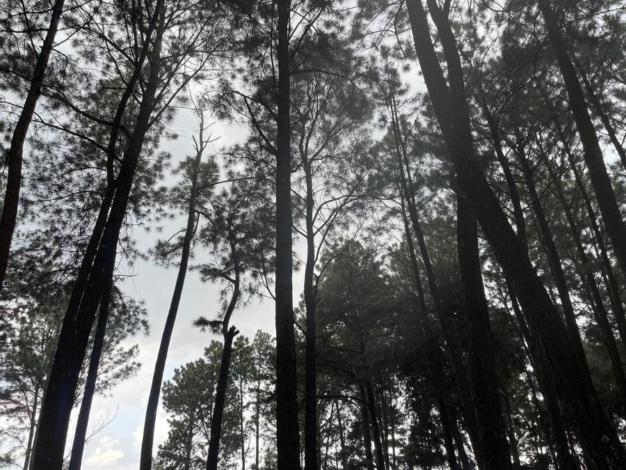 Photo 10 of Rwanda, taken by Cameron Mofid