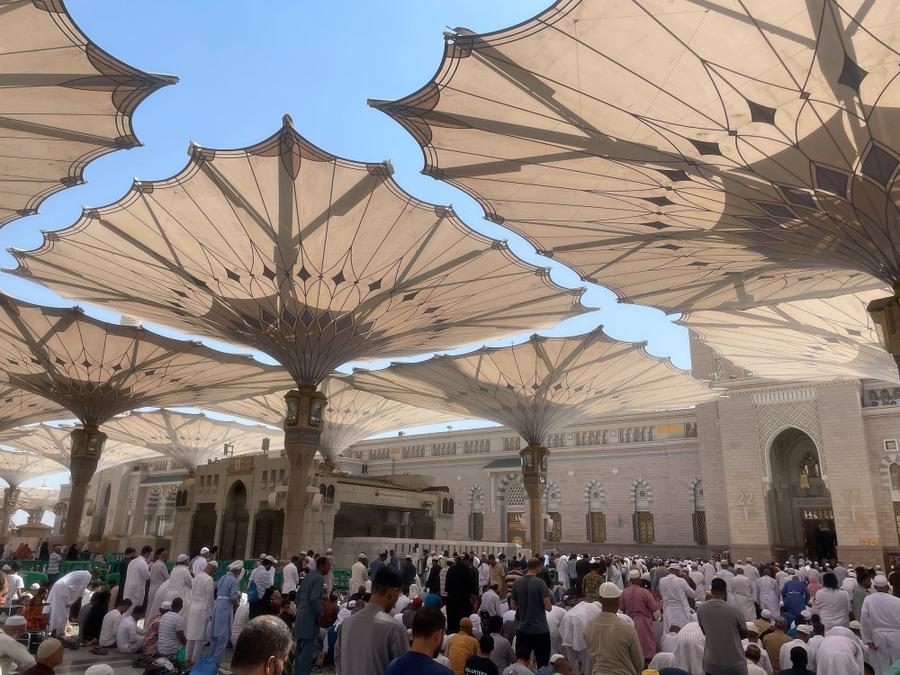 Photo 11 of Saudi Arabia, taken by Cameron Mofid
