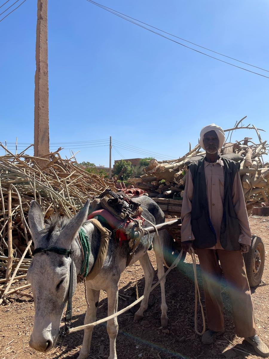 Photo 8 of Sudan, taken by Cameron Mofid