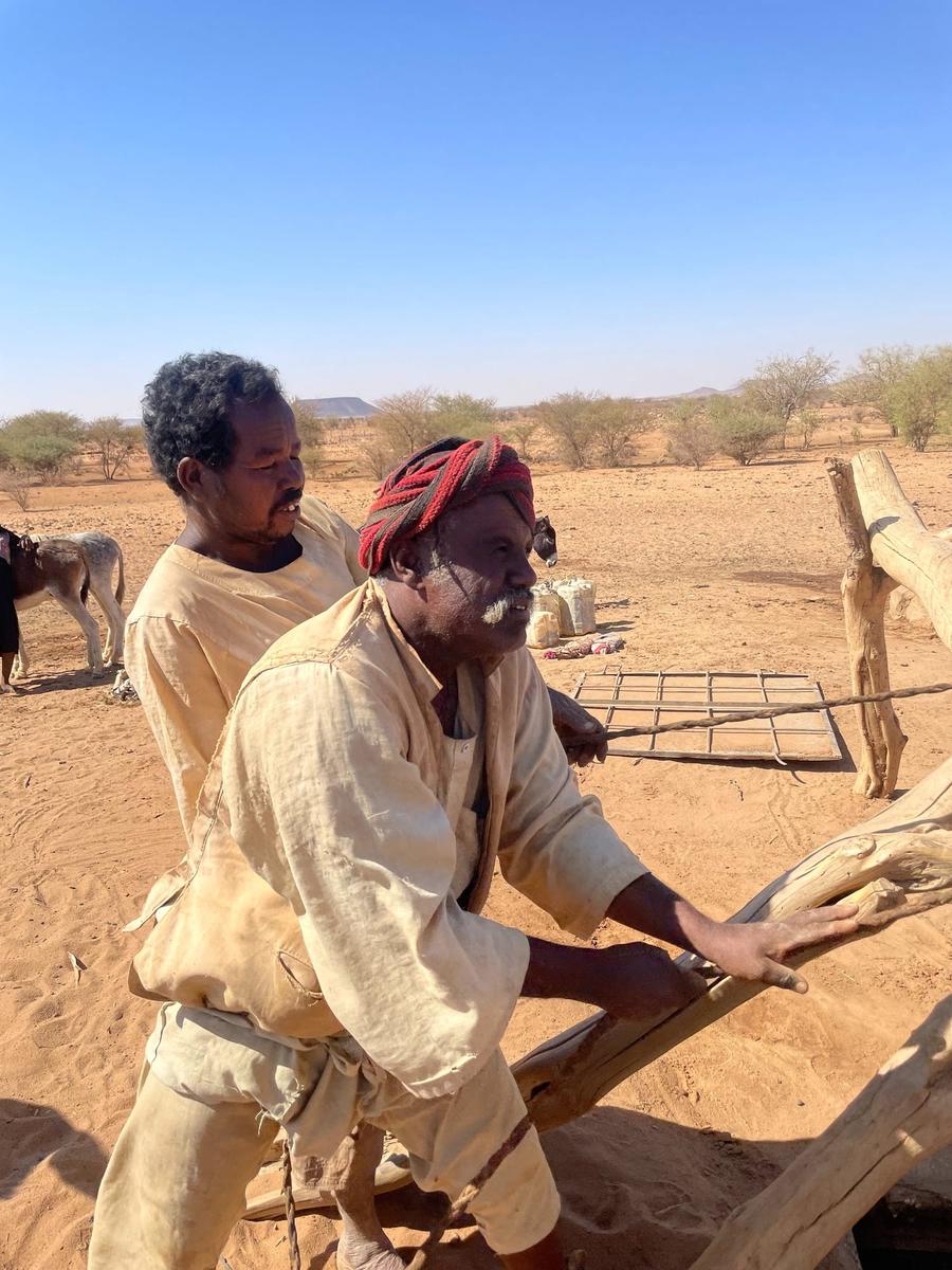 Photo 14 of Sudan, taken by Cameron Mofid