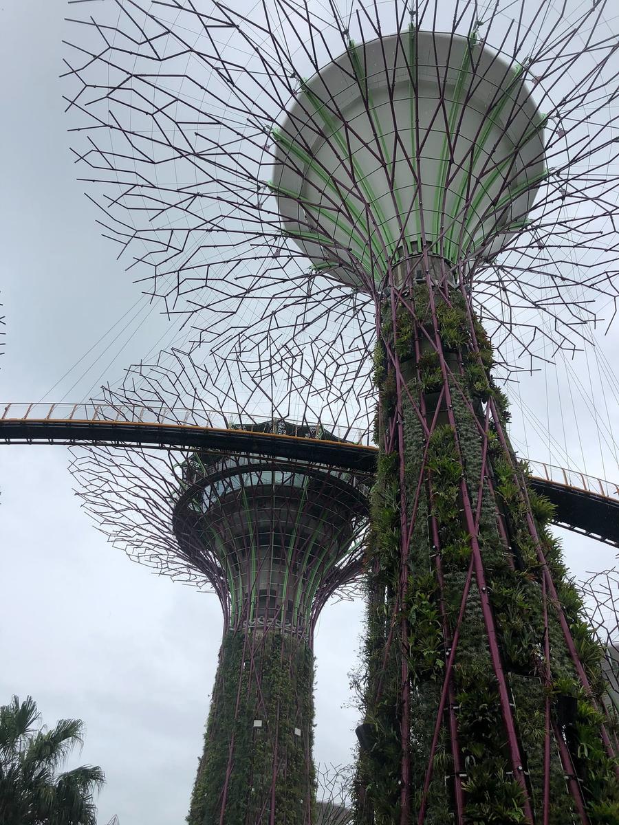 Photo 9 of Singapore, taken by Cameron Mofid