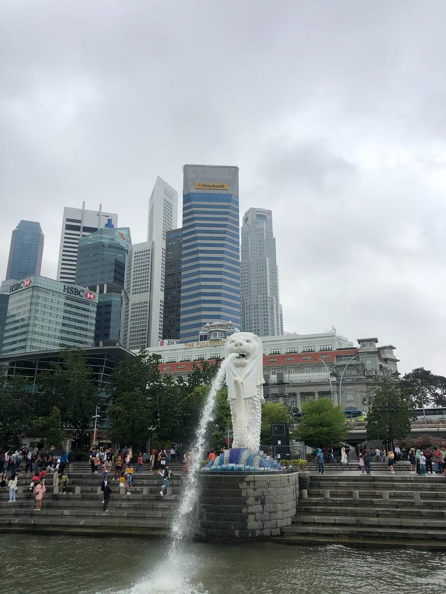 Photo 5 of Singapore, taken by Cameron Mofid