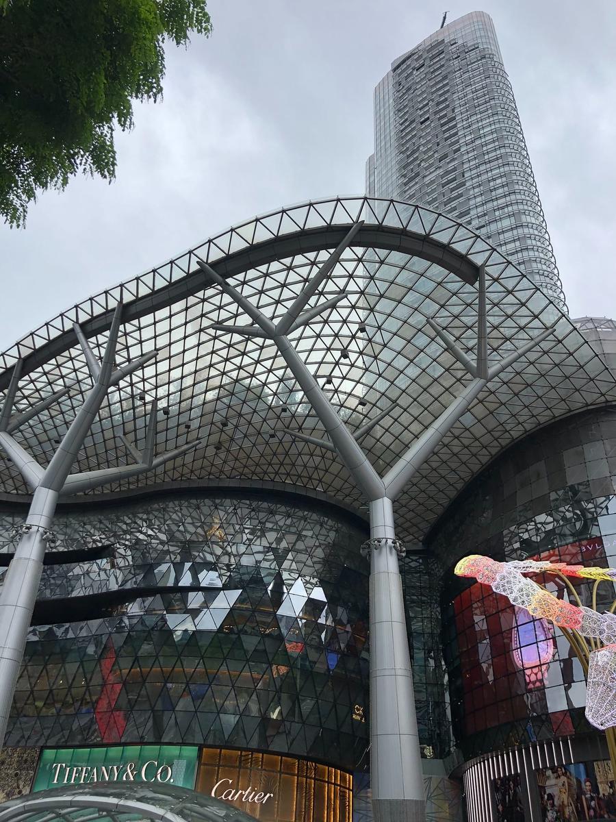 Photo 11 of Singapore, taken by Cameron Mofid