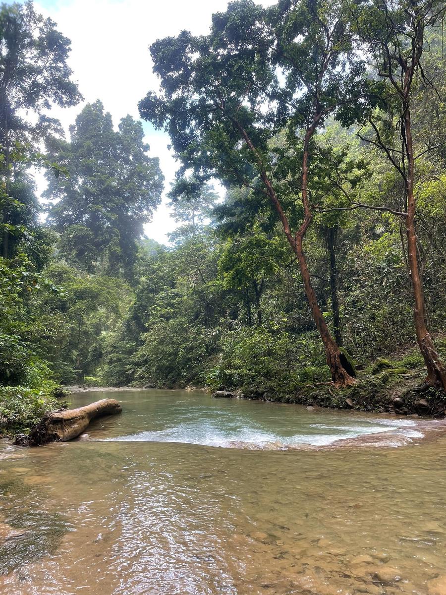 Photo 18 of Solomon Islands, taken by Cameron Mofid