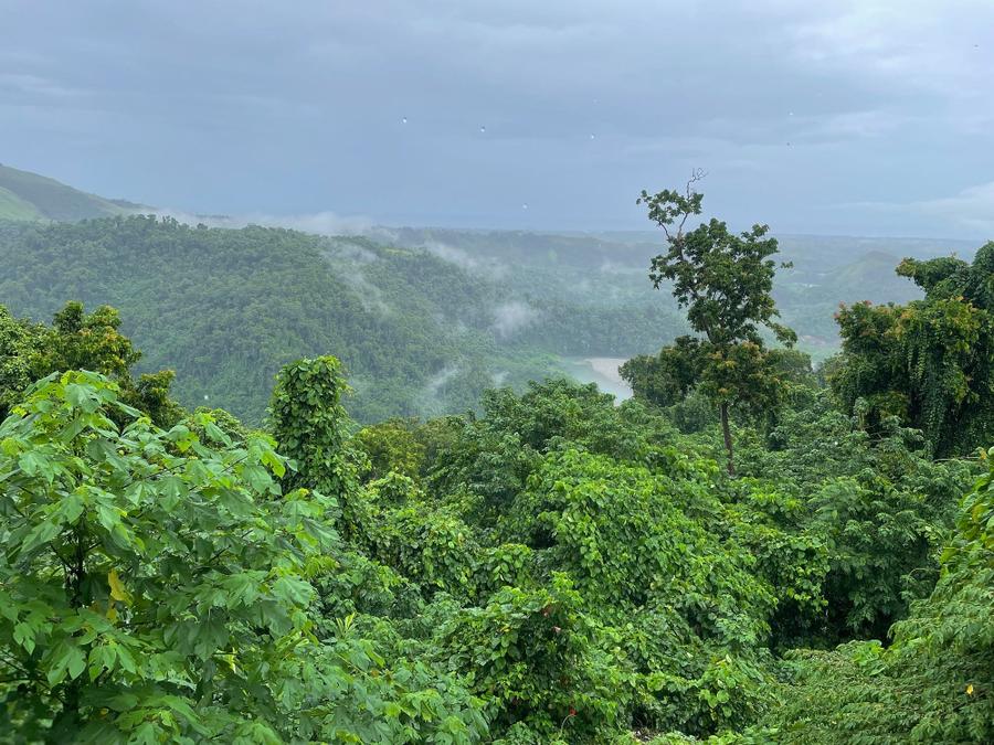 Photo 12 of Solomon Islands, taken by Cameron Mofid