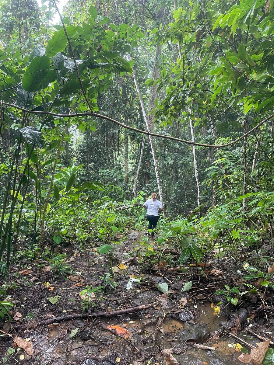 Photo 14 of Solomon Islands, taken by Cameron Mofid