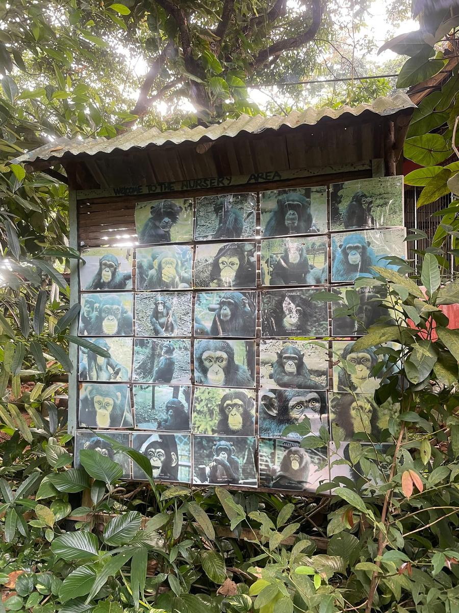 Photo 3 of Sierra Leone, taken by Cameron Mofid