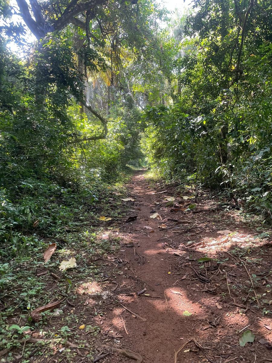 Photo 16 of Sierra Leone, taken by Cameron Mofid