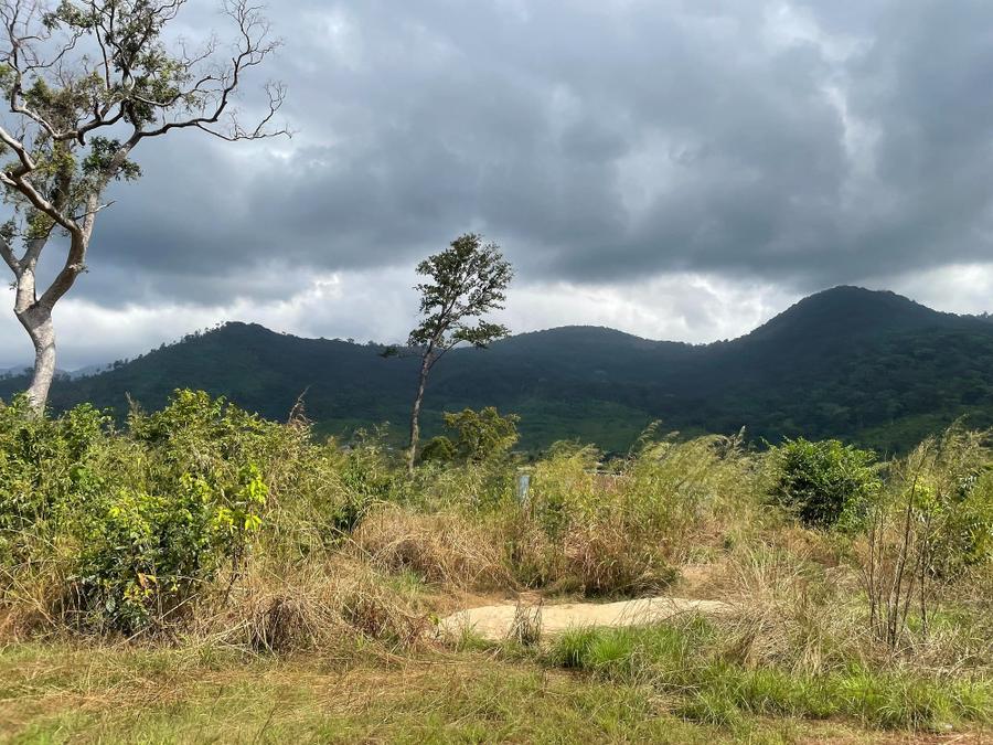 Photo 12 of Sierra Leone, taken by Cameron Mofid