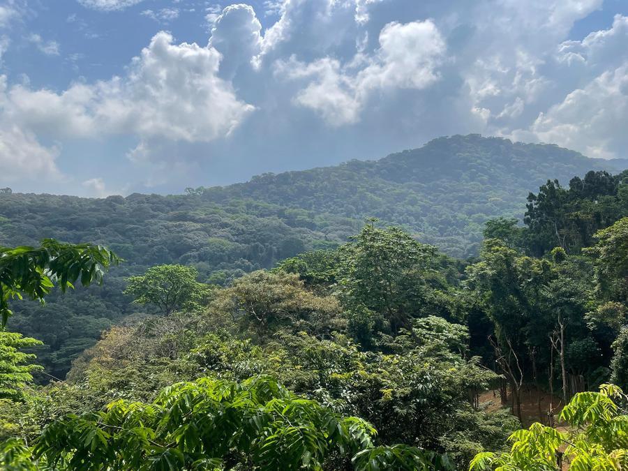 Photo 6 of Sierra Leone, taken by Cameron Mofid
