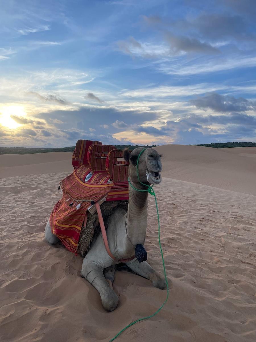 Photo 18 of Somalia, taken by Cameron Mofid