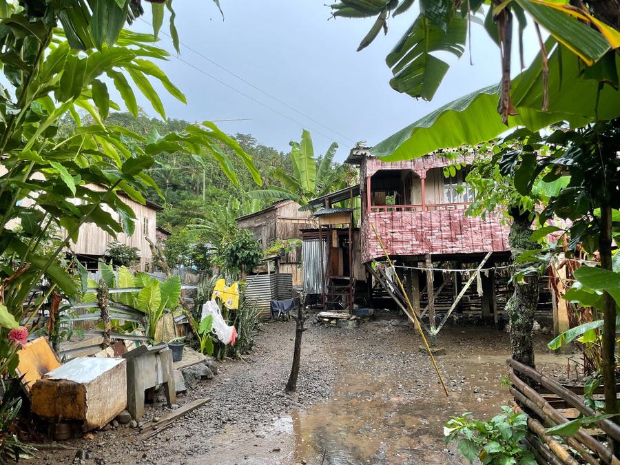 Photo 13 of São Tomé and Príncipe, taken by Cameron Mofid