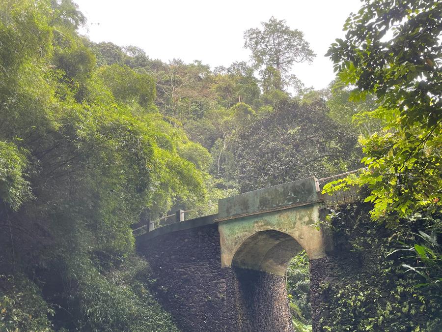Photo 17 of São Tomé and Príncipe, taken by Cameron Mofid