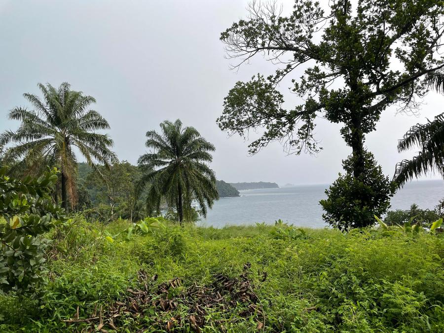 Photo 12 of São Tomé and Príncipe, taken by Cameron Mofid