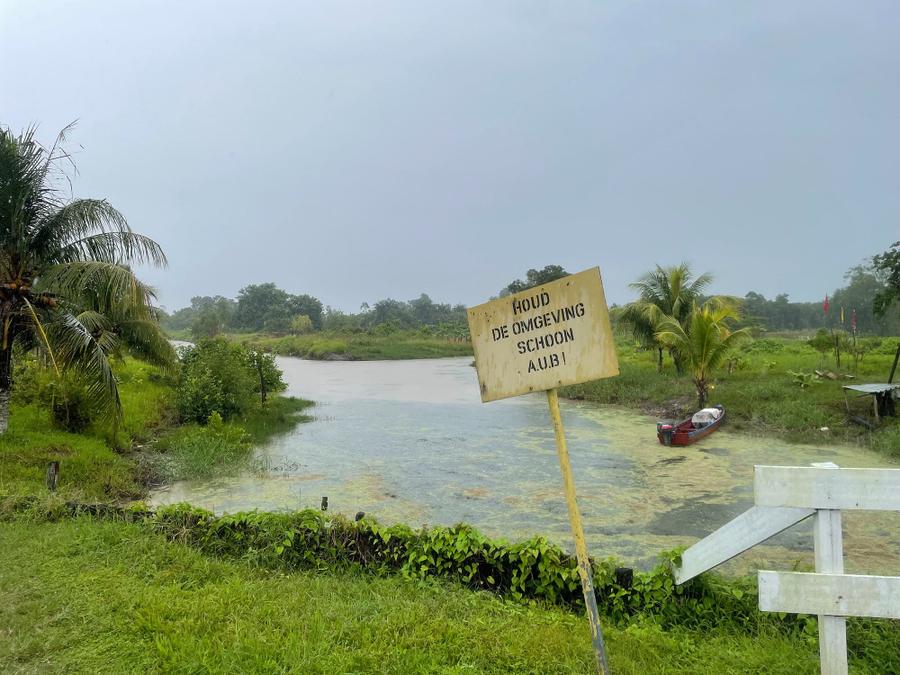 Photo 16 of Suriname, taken by Cameron Mofid