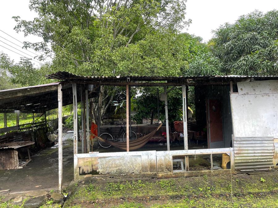 Photo 10 of Suriname, taken by Cameron Mofid