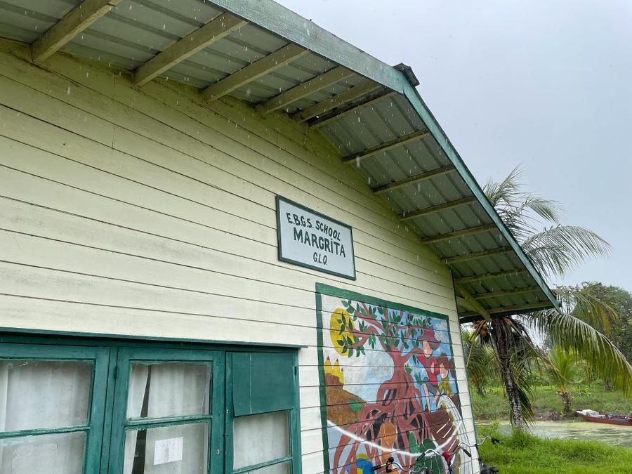 Photo 15 of Suriname, taken by Cameron Mofid