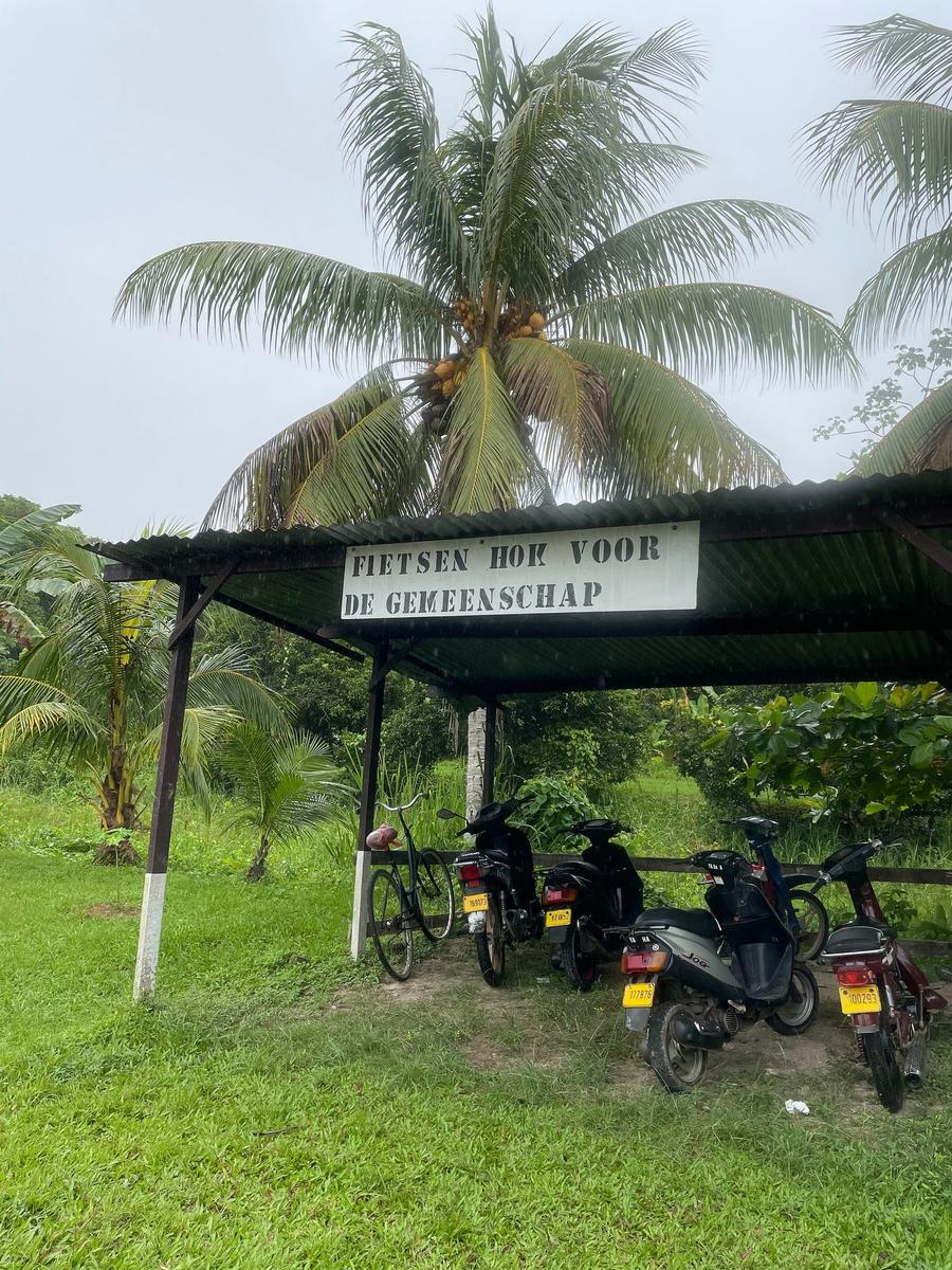 Photo 9 of Suriname, taken by Cameron Mofid