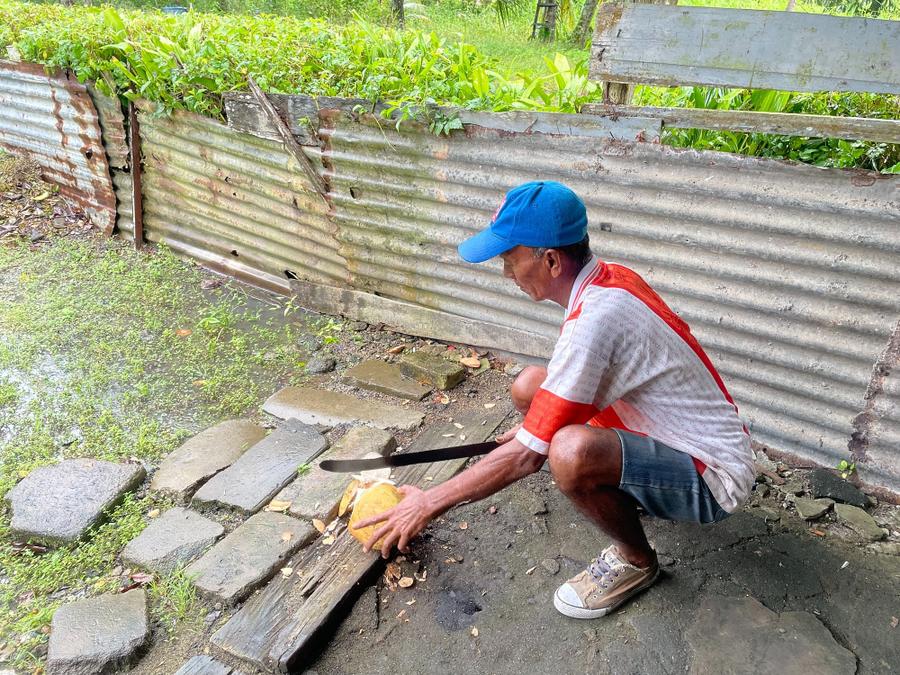 Photo 12 of Suriname, taken by Cameron Mofid