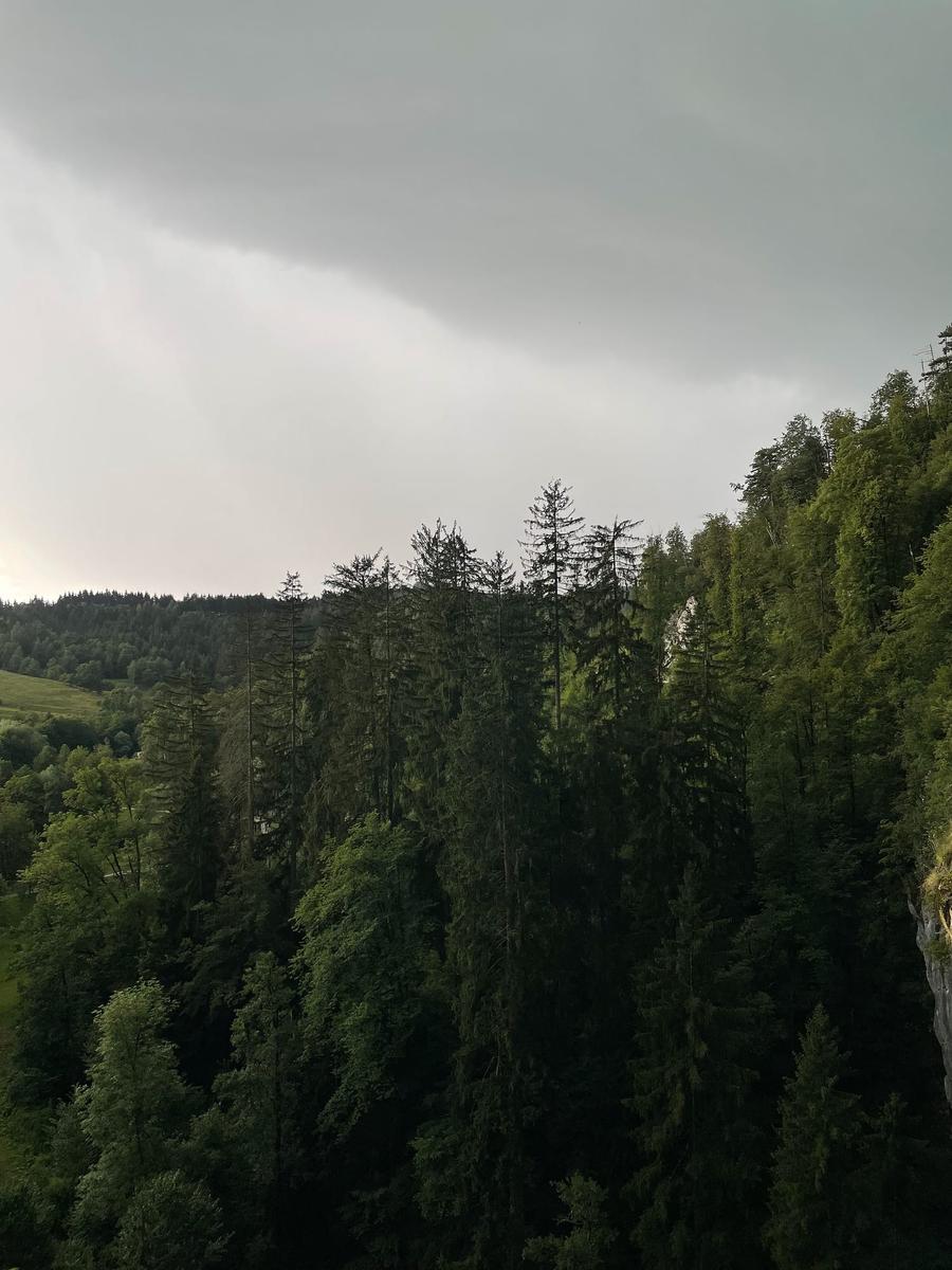 Photo 14 of Slovenia, taken by Cameron Mofid