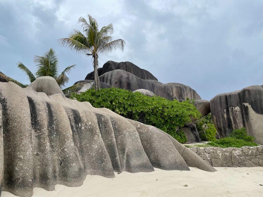 Photo 10 of Seychelles, taken by Cameron Mofid