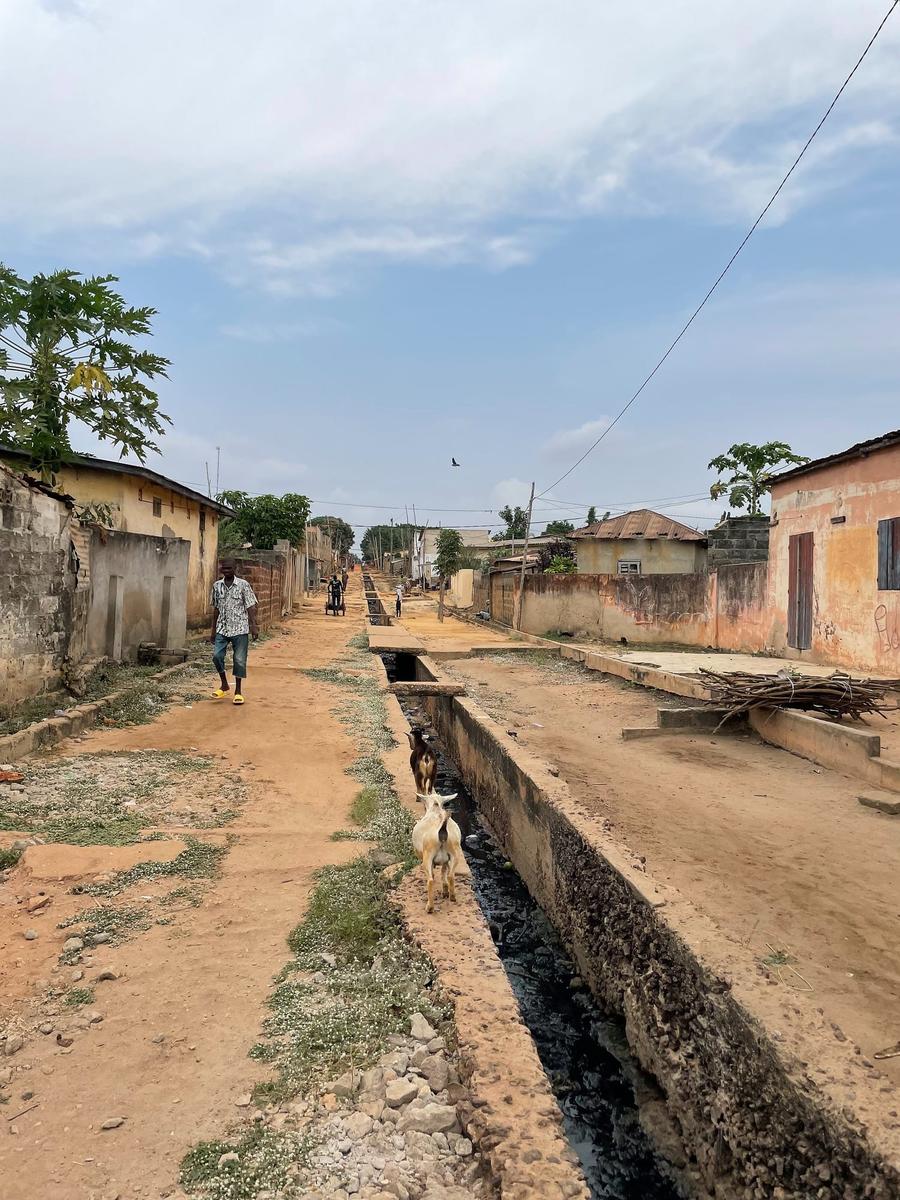Photo 2 of Togo, taken by Cameron Mofid