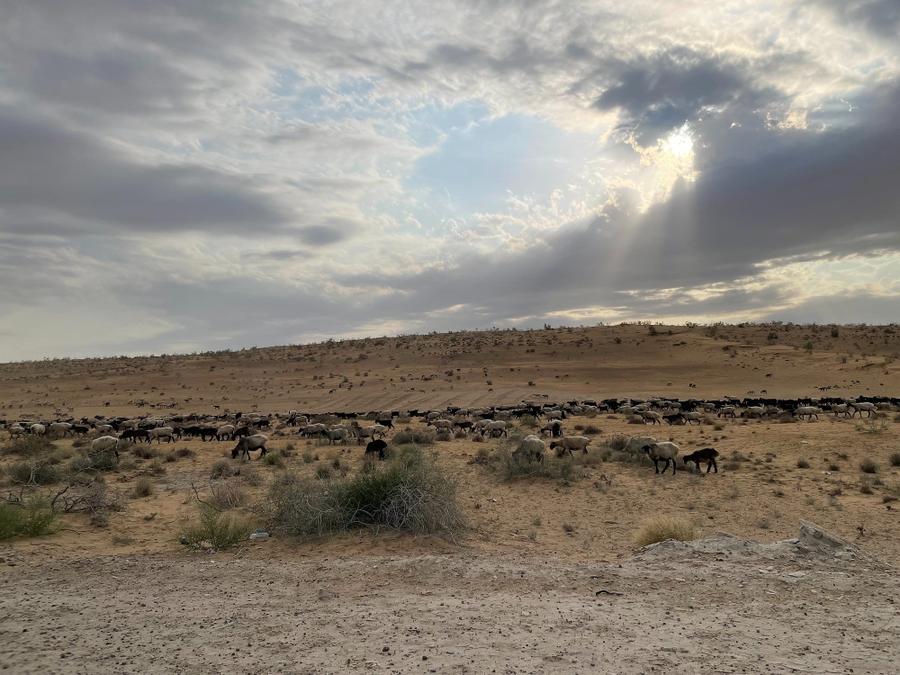 Photo 5 of Turkmenistan, taken by Cameron Mofid