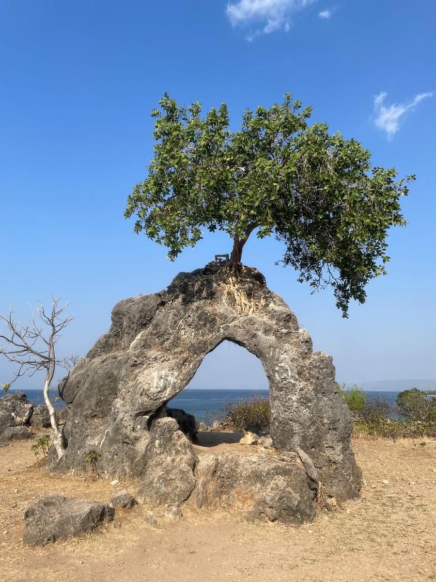 Photo 19 of Timor-Leste, taken by Cameron Mofid