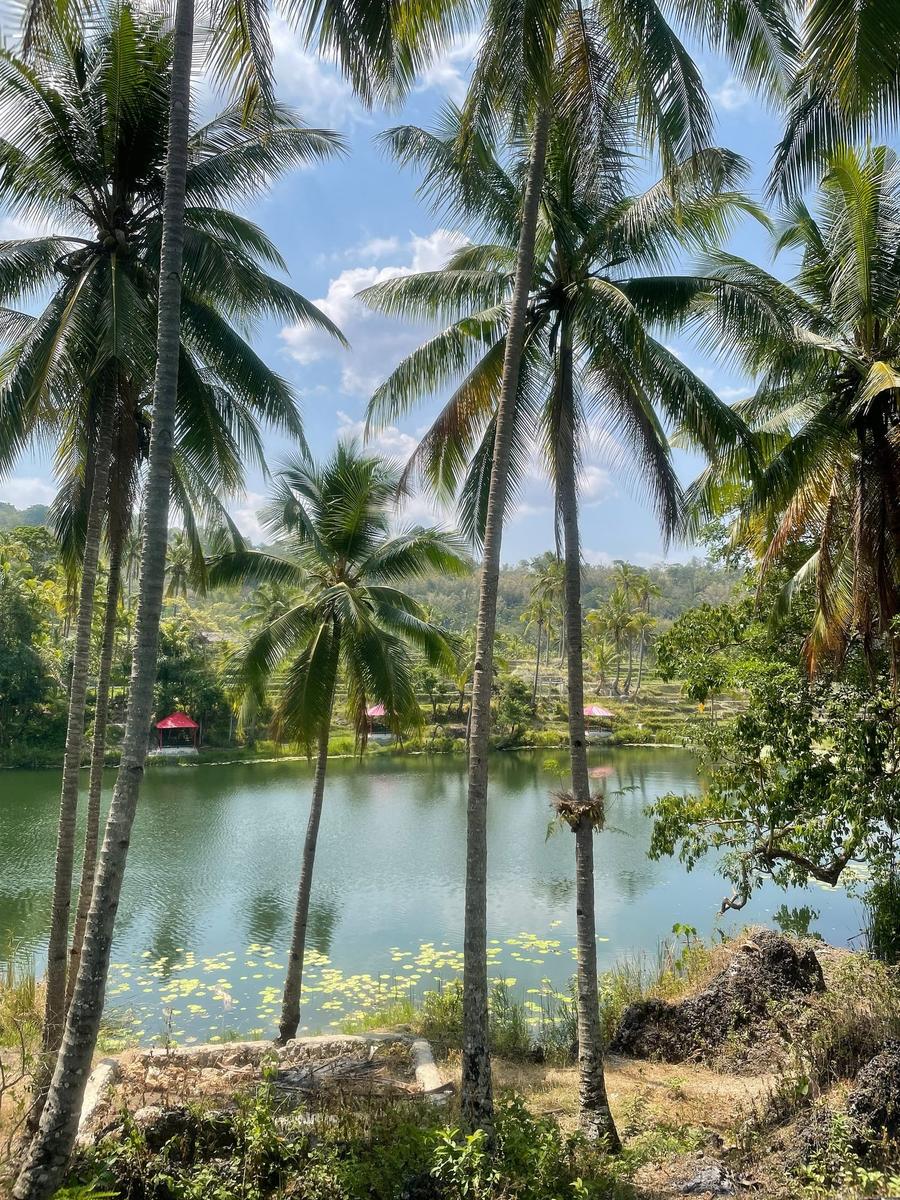 Photo 16 of Timor-Leste, taken by Cameron Mofid
