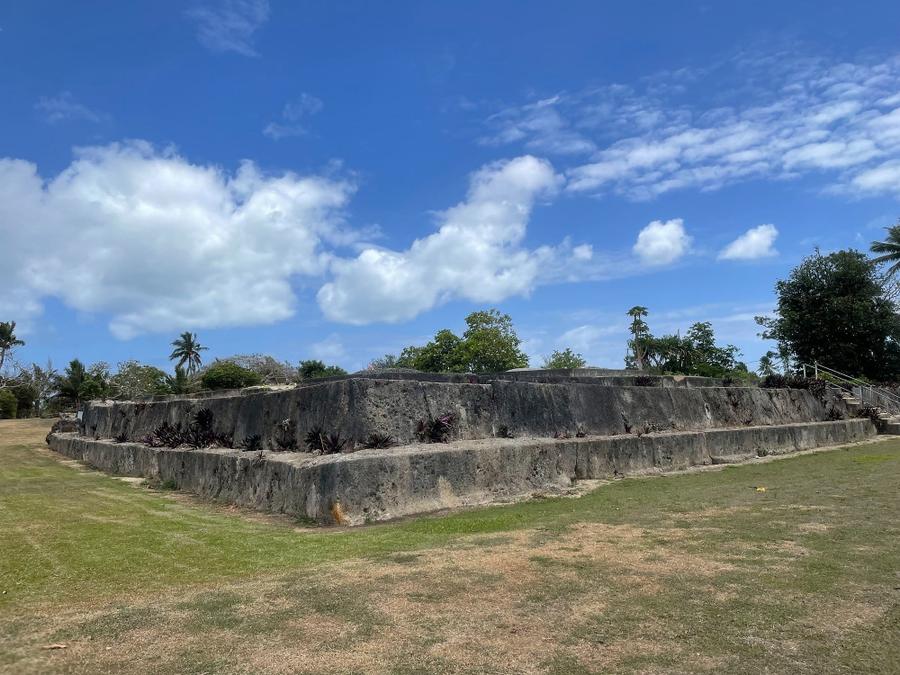 Photo 6 of Tonga, taken by Cameron Mofid