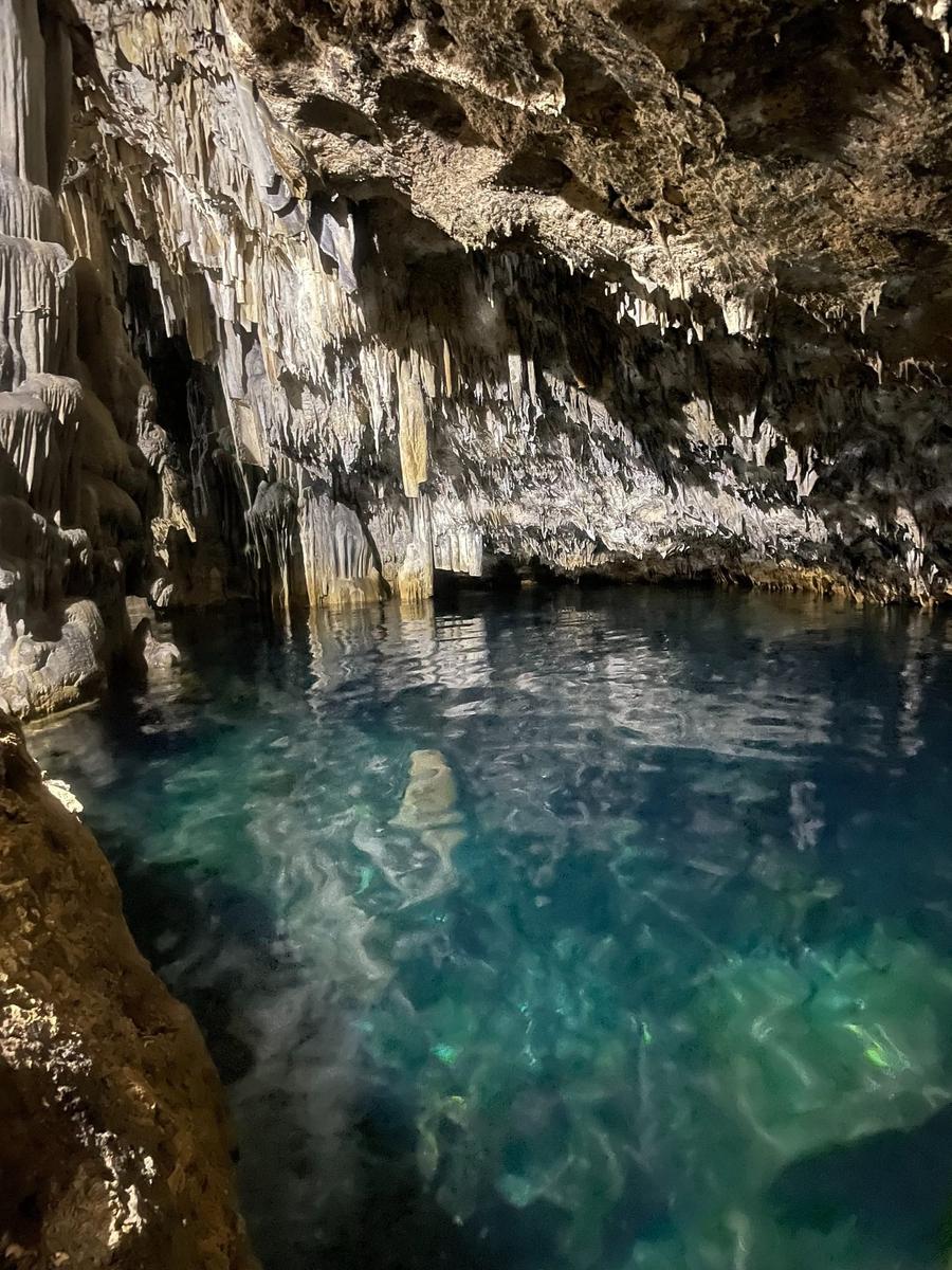 Photo 10 of Tonga, taken by Cameron Mofid