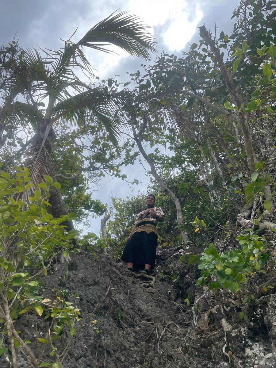 Photo 17 of Tonga, taken by Cameron Mofid