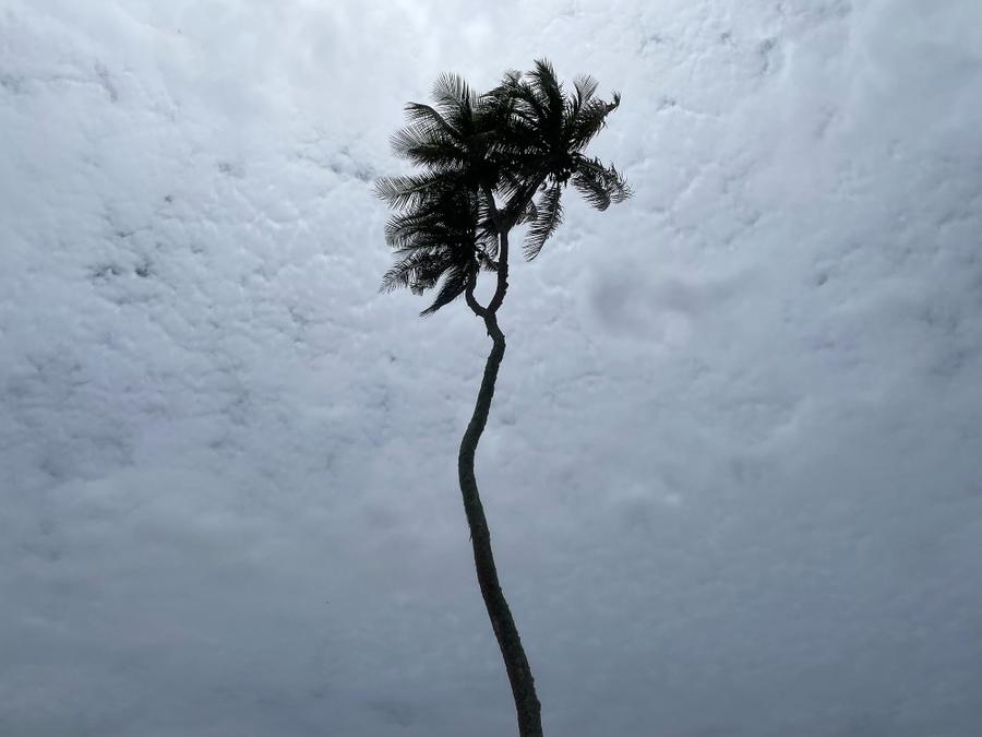 Photo 12 of Tonga, taken by Cameron Mofid