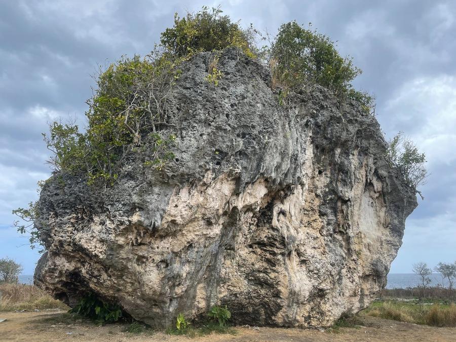 Photo 15 of Tonga, taken by Cameron Mofid