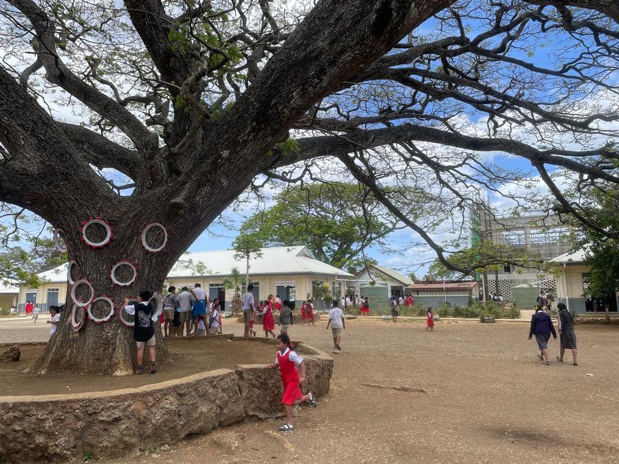 Photo 1 of Tonga, taken by Cameron Mofid