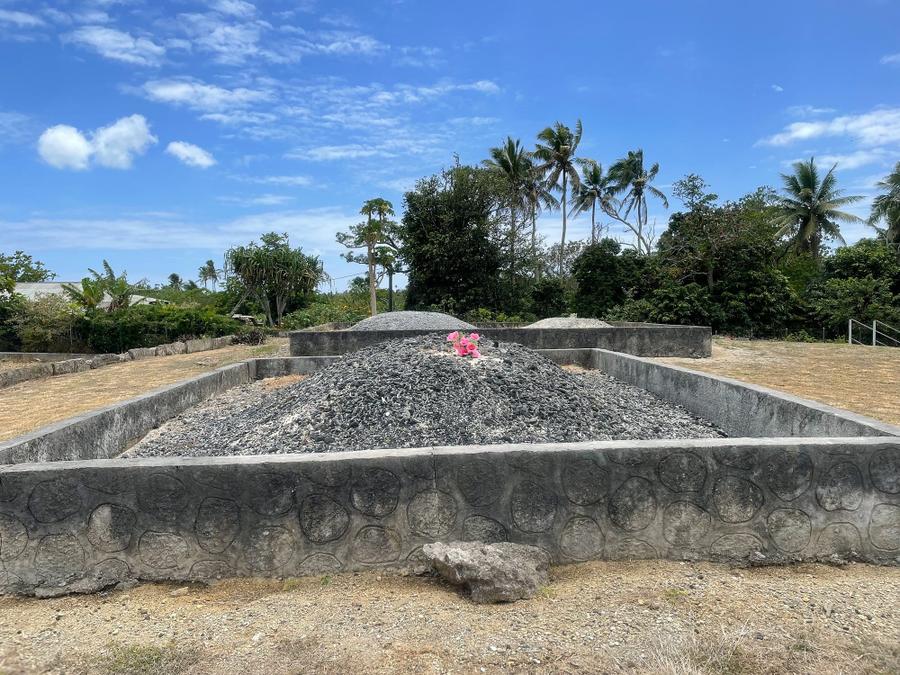 Photo 7 of Tonga, taken by Cameron Mofid