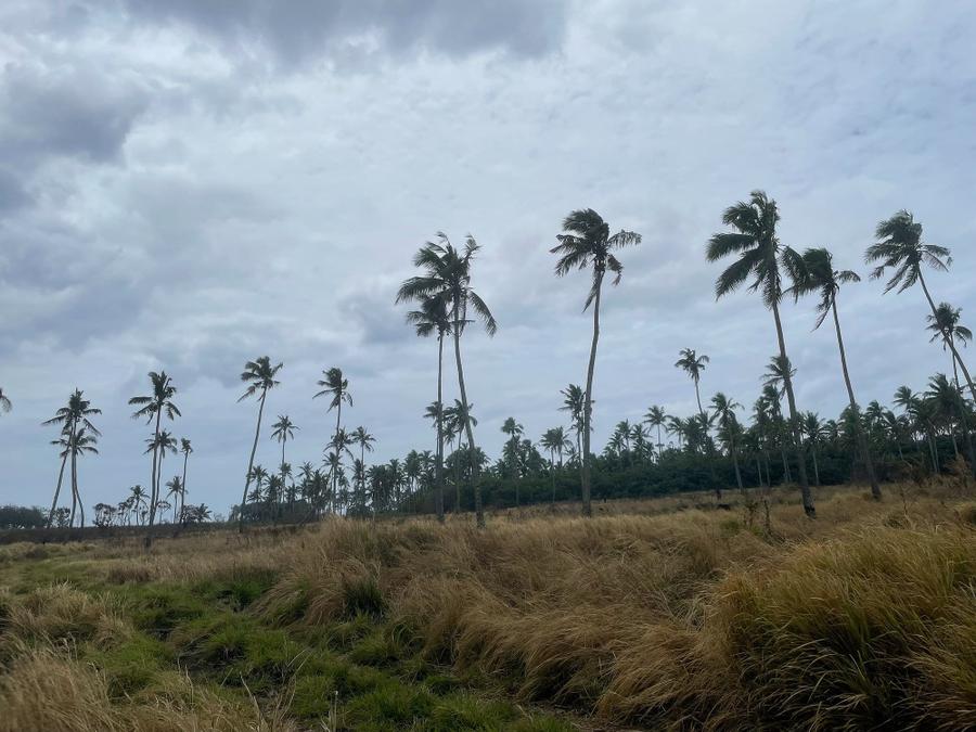 Photo 16 of Tonga, taken by Cameron Mofid