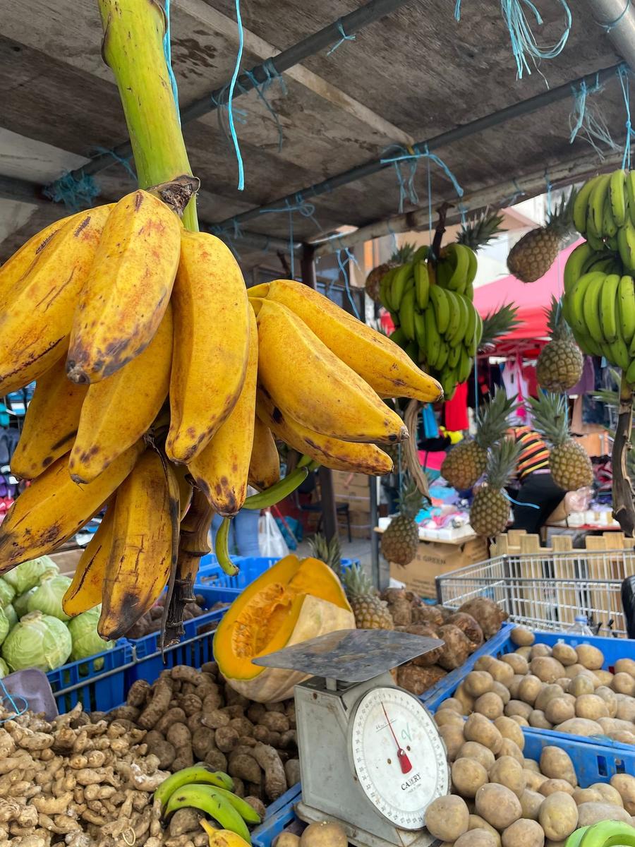 Photo 15 of Trinidad and Tobago, taken by Cameron Mofid