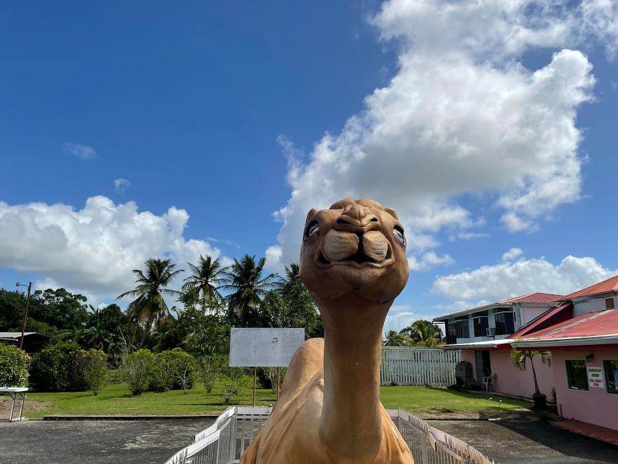 Photo 5 of Trinidad and Tobago, taken by Cameron Mofid