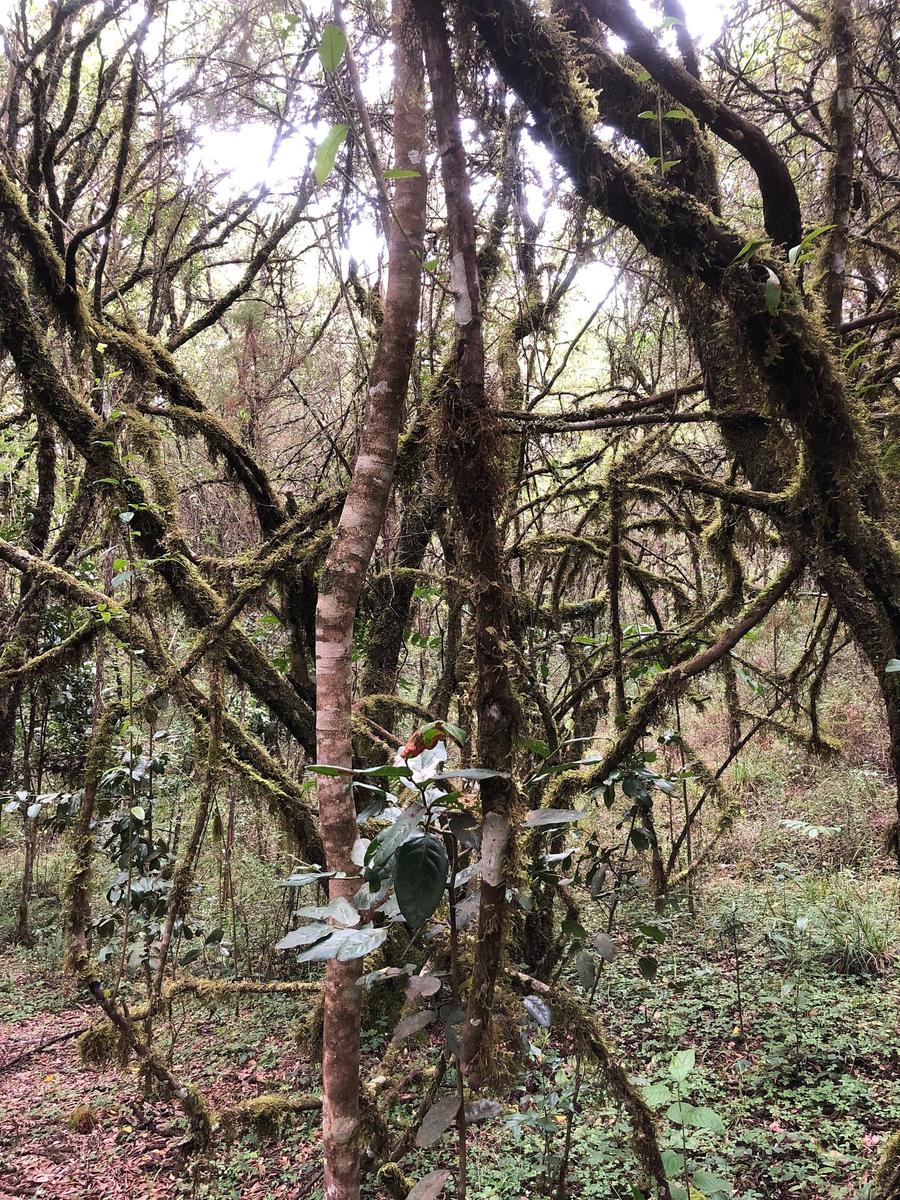 Photo 5 of Tanzania, taken by Cameron Mofid