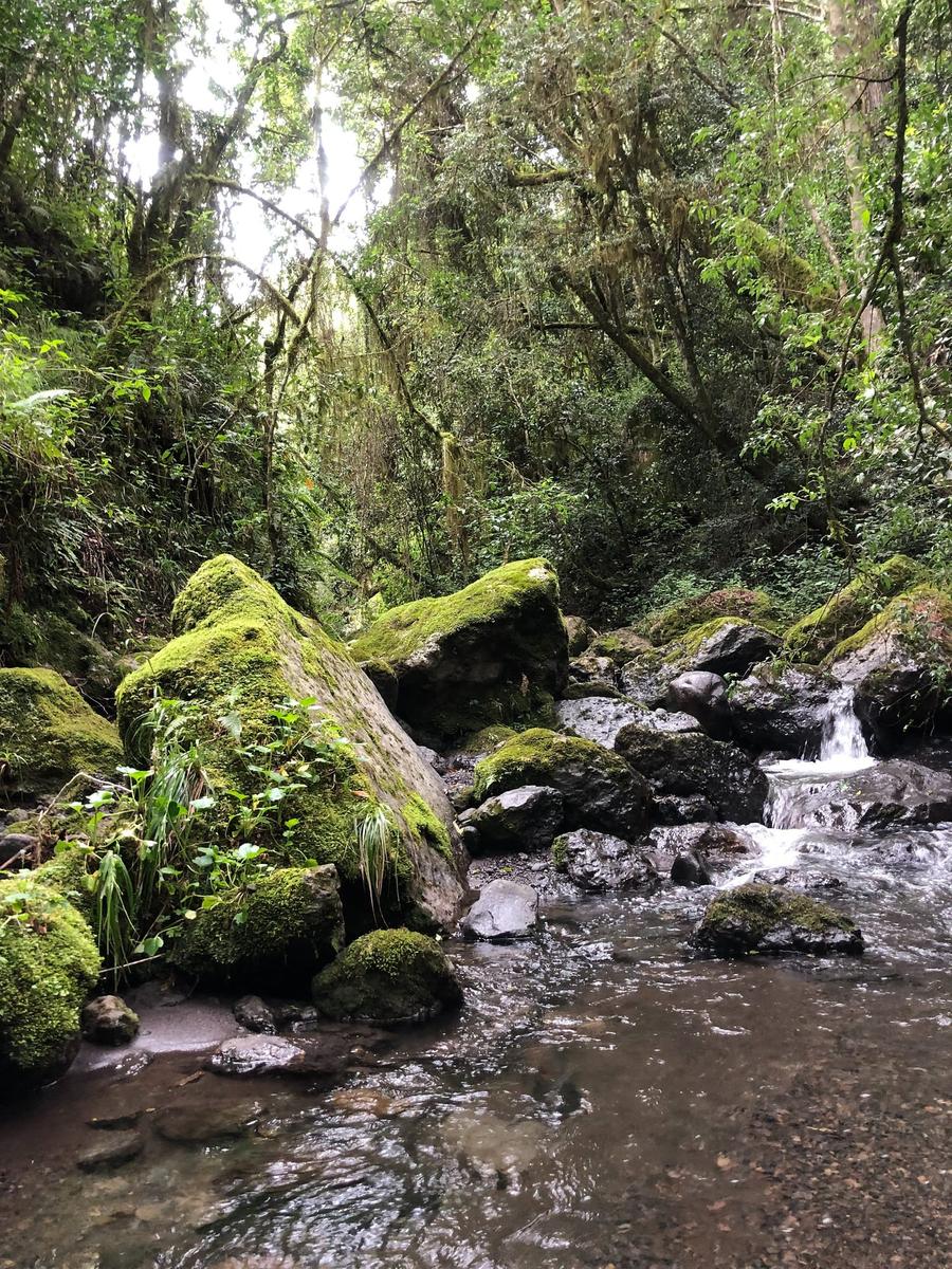 Photo 7 of Tanzania, taken by Cameron Mofid