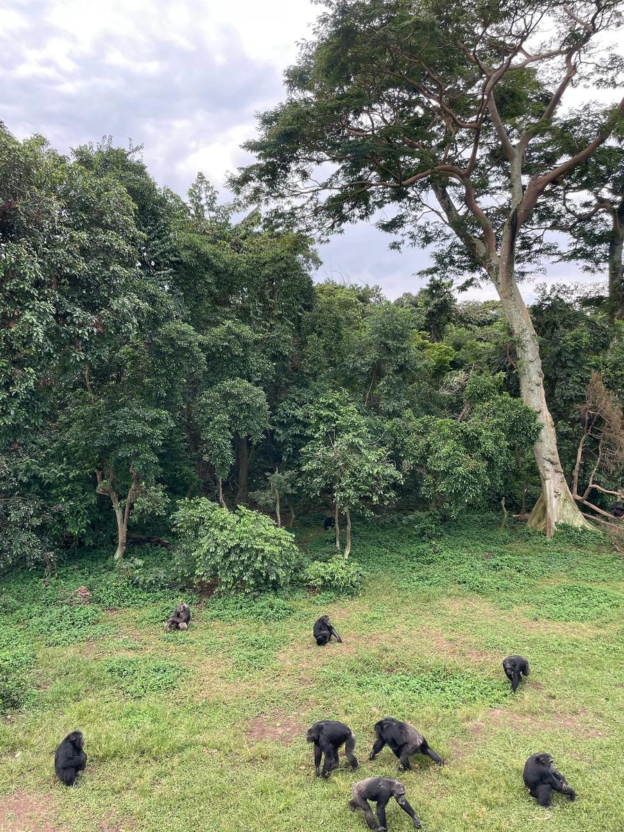 Photo 5 of Uganda, taken by Cameron Mofid