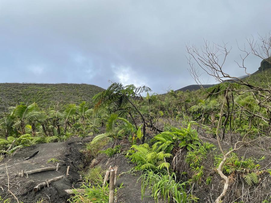 Photo 8 of Saint Vincent and the Grenadines, taken by Cameron Mofid