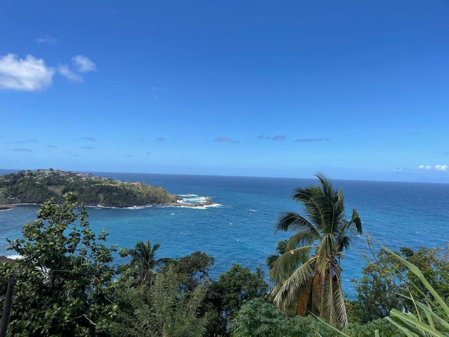 Photo 15 of Saint Vincent and the Grenadines, taken by Cameron Mofid
