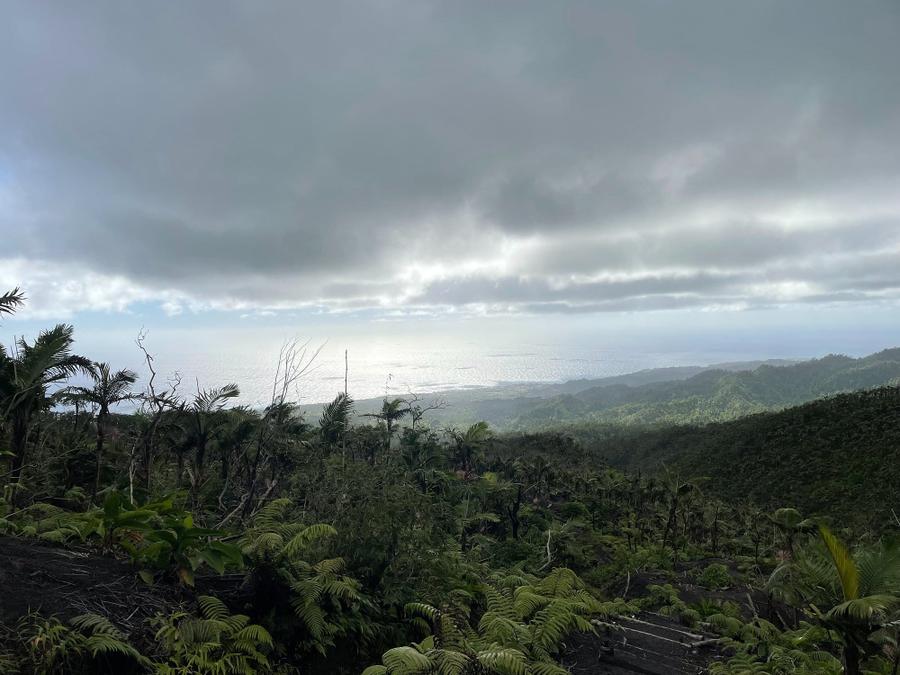 Photo 9 of Saint Vincent and the Grenadines, taken by Cameron Mofid